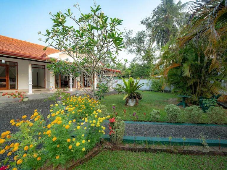 Araliya Villa Moragalla Екстер'єр фото